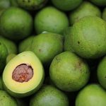 avocat