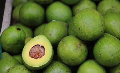 avocat
