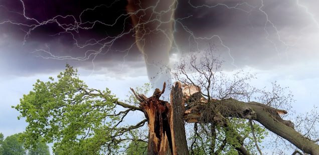 Les catastrophes naturelles